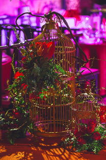 开云体育在线-中国体坛年度颁奖典礼群星闪耀，中国体坛风云人物典礼颁奖词  第2张